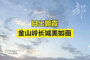 哈姆：詹姆斯缺阵本就已很不容易 浓眉再伤退&雪上加霜了